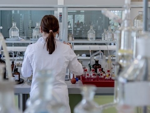 Органы на заказ: учёные вырастили функциональную мини-печень
