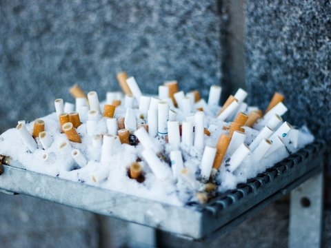Австралийцы придумали, как перерабатывать окурки: из них можно делать кирпичи
